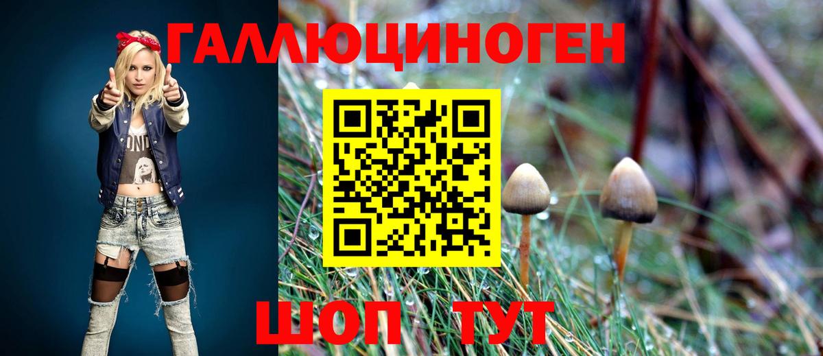 Сосновоборск  Псилоцибиновые грибы прущие грибы  Вход с VPN 