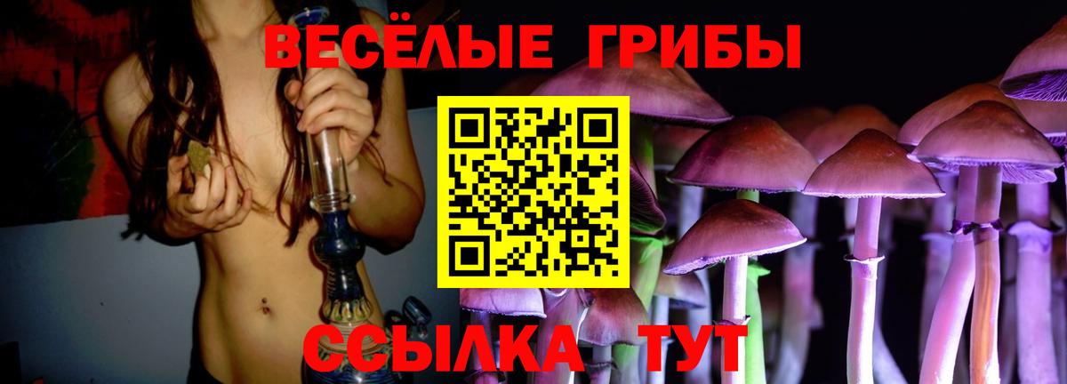 Галлюциногенные грибы ЛСД Сосновоборск